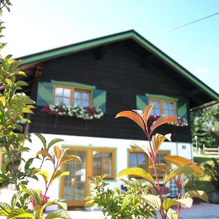 Alpen Chalet Ellmau Zentrum מראה חיצוני תמונה